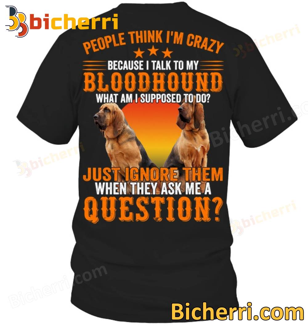 People Think I'm Crazy Because I Talk To My Bloodhound T-shirt