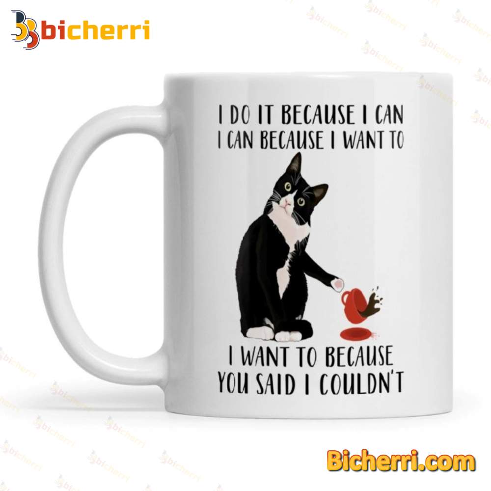 Cat I Do It Because I Can I Can Because I Want To Mug