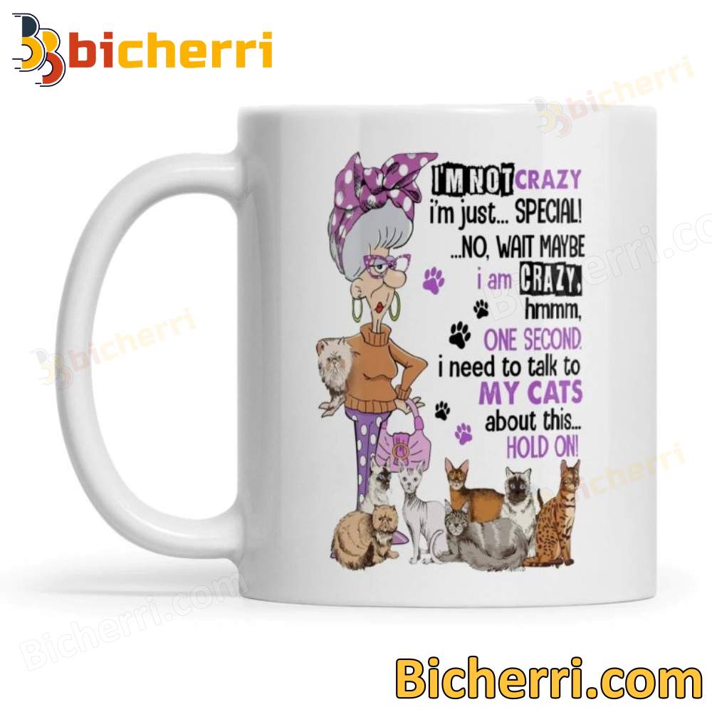 Old Woman And Cat I'm Not Crazy I'm Just Special Mug
